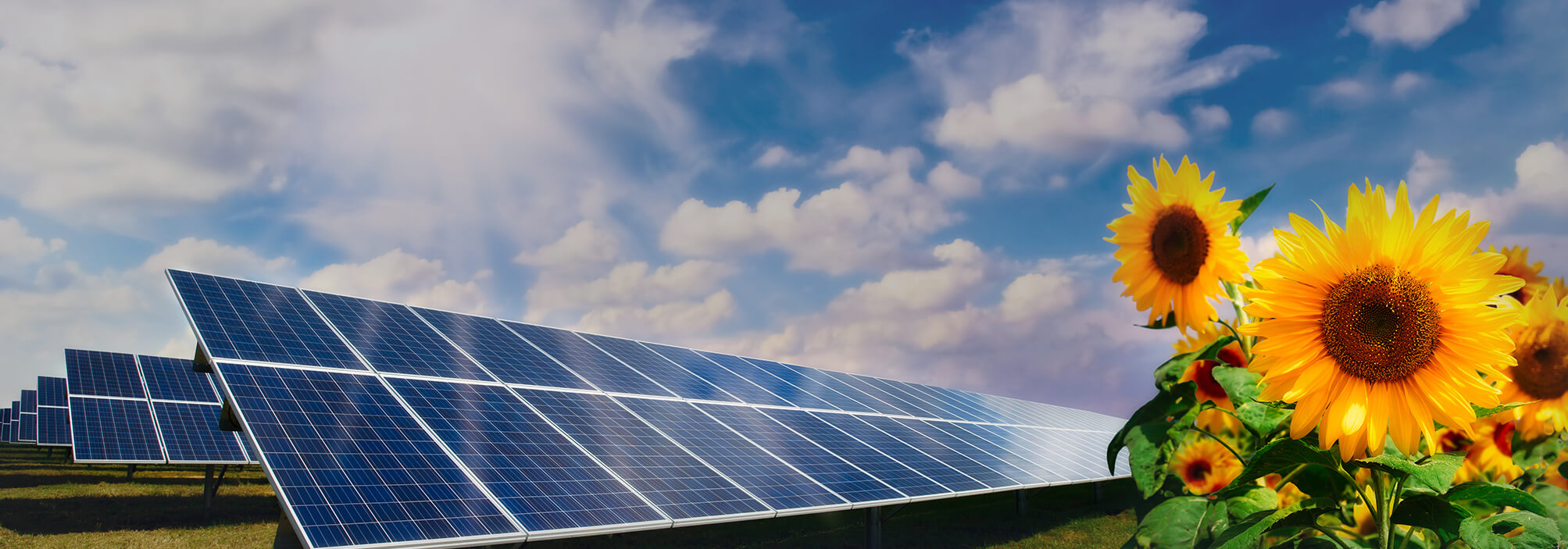 Auf zur Energiewende